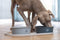 Designed by Lotte Oona - Placemat - Silicone - Vaatwasserbestendig - Beige - 55x30x1,7 cm