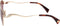 Lanvin LNV112S (716) Zonnebril - Dames - Goudkleurig