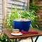LotusGrill Classic - Tafelbarbecue - Rookvrij - Ø35cm - Diepblauw