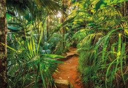 Komar - Fotobehang - Jungle - Trail - 368x254 - cm