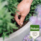 Pokon Bio Voedingskegels - Terras- & Balkonplanten - 120 dagen voeding - 15 stuks