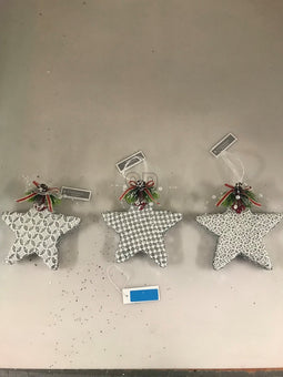 Xmas Star Foam 15 cm 3Ass Silve
