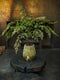 Silk-ka Kunstplant Palm Plant Zijde Groen 123 cm