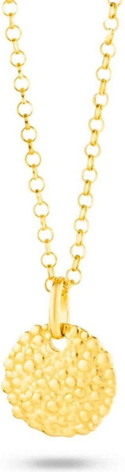Ketting Radiant RY000028 50 cm