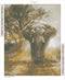 Dieren - Diamond Painting - Olifant - 40X50CM