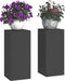 vidaXL - Buitenplantenstandaarden - Pilar - 2 - stuks - Zwart - 24x24x55 - cm - Staal