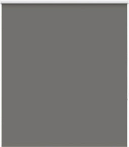 vidaXL - Rolgordijn - verduisterend - 125x175 - cm - stofbreedte - 121,6 - cm - grijs