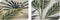 Tropical Strandparasol met knikarm - D 200 cm - Groen