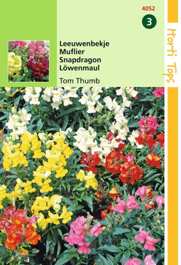 2 stuks - Hortitops - Antirrhinum Majus Pumilum Tom Thumb Gemengd