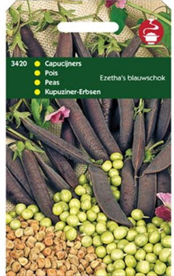 Capucijners Blauwschokkers Ras Ezetha