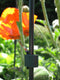 Peacock Standaard koppelstukje 8 mm, 4 stuks