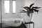 Capi Europe - Vaas taps rond Rib NL - 42x38 - Antraciet - Opening Ø31 - Bloempot voor binnen en buiten - Levenslang garantie - Breukbestendig - 100% Recyclebaar - CO2 Neutraal geproduceerd - KOFZ362