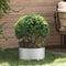vidaXL - Tuinplanter - 40x40x20 - cm - van - Gegalvaniseerd - Staal