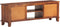 vidaXL - Tv-meubel - 120x30x41 - cm - massief - acaciahout - honingbruin