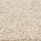 vidaXL - Shaggy - Vloerkleed - Hoog - Pols - Crème - 160x160 - cm - PP