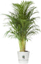 Elho Greenville Rond 40 - Grote Bloempot met Waterreservoir - 100% Gerecycled Plastic - Ø 39 x H 36.8 cm - Wit