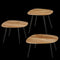 Mica Decorations Jailey - Bijzettafel - Set van 3 - Hout met verfijnde houtnerfdetails - Bruin (set van 3)