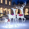 Coast 3-delige LED Rendierfamilie - Kerstdecoratie - 215 LED’s cool white - iriserend - rood accent