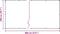 vidaXL - Plantenafdekking - met - zeilringen - 2x8 - m - polyethyleen