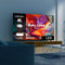 Salora SMART65TV - 65 Inch Smart TV - 4K Ultra HD - Android TV met Chromecast - Dolby Audio