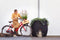 Xala - Gieter Lungo 12L - 46x26x43 - Zwart - Voor binnen & buiten - Breukbestendig - Lichtgewicht - 10 jaar garantie