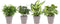 Combibox hippe kamerplanten in Anne Taupe keramiek – ↨ 25cm – ⌀ 12cm