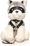 XR Brands - Fetish Puppy - Grijs&Wit