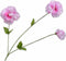 Silk-ka Zijden Kunstbloemen Nepbloemen Viool Tak Licht Roze 149287 66 cm