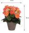 Mica Decorations Begonia - Kunstplant - 25 cm - Zalmroze