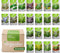 Kruidenzaden Pakket - 22 Culinaire Soorten - Moestuinzaden - Kruiden Zaden - Moestuin Pakket - Basilicum Zaden - Munt Plant - Mosterdzaad - Anijszaad - Kruiden Zaadjes - Organifer