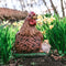 Tuinfiguur broedende kip met kuikens | bruin | 19 cm