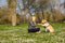 Halti No Pull Harnas Zwart - Hondenopvoeding - Medium