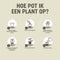 Pokon Kamerplanten Potgrond - 10l - 6 maanden voeding - RHP keurmerk