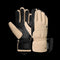 Reusch Mesa R-TEX® XT - Dameshandschoen - Wolisolatie en geitenleer - Cuban Sand/Black