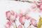 Thea Gouverneur - Borduurpakket met telpatroon - 481A - Voorgesorteerde DMC Garens - Japanse Bloesem - Aida - 80 cm x 27 cm - DIY Kit