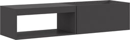 vidaXL - Vuurkorf - met - Houtopslag - Zwart - 160x45x35 - cm - Staal