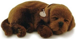 Perfect Petzzz - Soft Labrador - Realistische hond met accessoires - Bruin