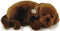 Perfect Petzzz - Soft Labrador - Realistische hond met accessoires - Bruin