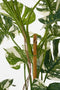 Mica Decorations Monsteraboom - Kunstplant - H140 x Ø120 cm - Groen