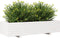 vidaXL - Plantenbak - 110x40x26,5 - cm - massief - grenenhout - wit
