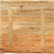 vidaXL - Tafelblad - met - natuurlijke - rand - 40x40x2,5 - cm - massief - mangohout
