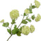 Silk-ka Kunstbloem-Zijden Bloemen Sneeuwbal Tak Groen-Crème 78 cm
