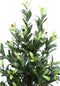PTMD Tree Green Olijfboom Kunstplant - 64 x 46 x 147 cm - Plastic pot - Groen