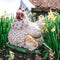 Tuinfiguur broedende kip met kuikens | wit | 19 cm