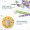 Partizzle Klaparmbanden - 48x Slap on Bracelet - 24 Designs - Kunstleer (48 stuks)