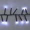 Maxi Cluster Kerstverlichting - 800 LED - 12m - 8 lichtfuncties - (ijs) wit