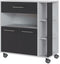 ECO Trolley 2 deuren 1 la - Wit en grijs - L 80 x D 39 x H 87 cm