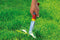 WOLF-Garten KS-2K - Onkruidsteker - softgrip