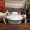 Petsafe Drinkwell Ceramic Avalon - Drinkfontein - 2 ltr - Wit