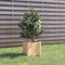 vidaXL - Plantenbak - 31x31x31 - cm - massief - grenenhout